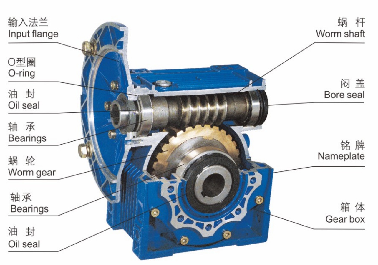 RV worm gear reducer (1).png