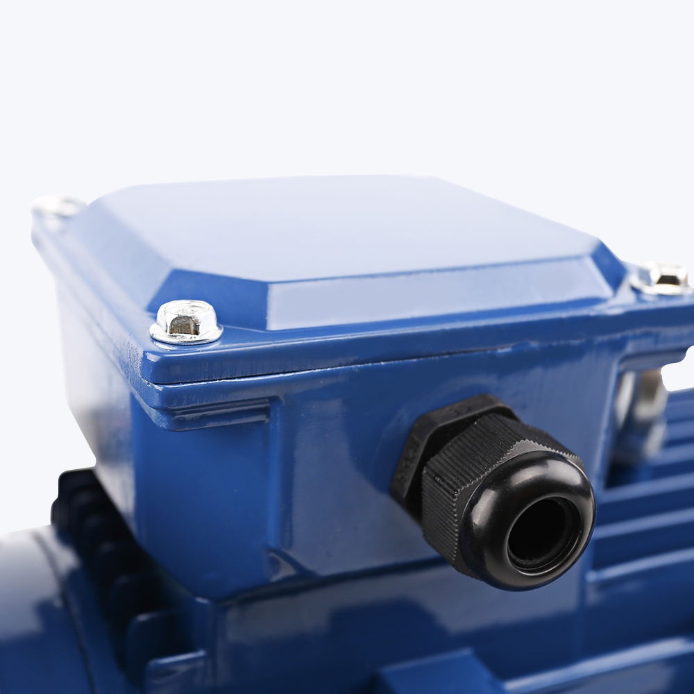 Induction Motor (3).png