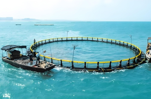Control of lifting and lowering of deep-sea aquaculture cages.png