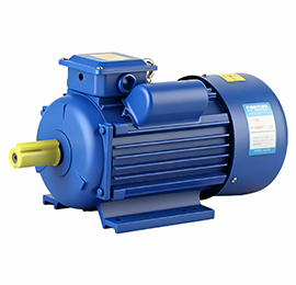 Worm Gear Motor