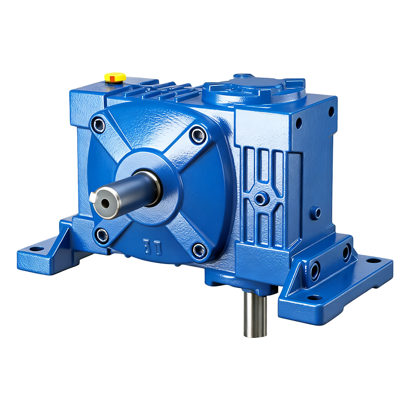 Worm Gear Reducer Type Worm Transmission WPWV WP Shaft Mounted Reducer For Belt