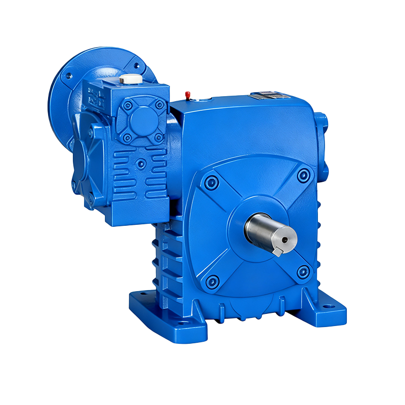 Reduction Gearbox Wp Worm Reducer For Beverage Production Line WPEDS