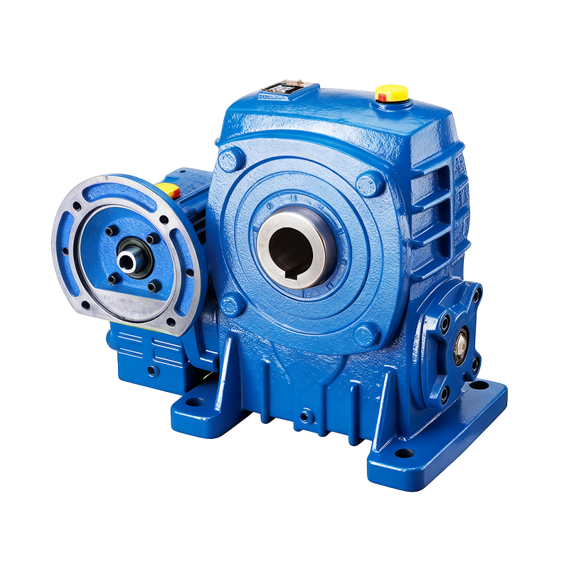 Worm Drive Reducer For Power Transmission Systems WPEDKA